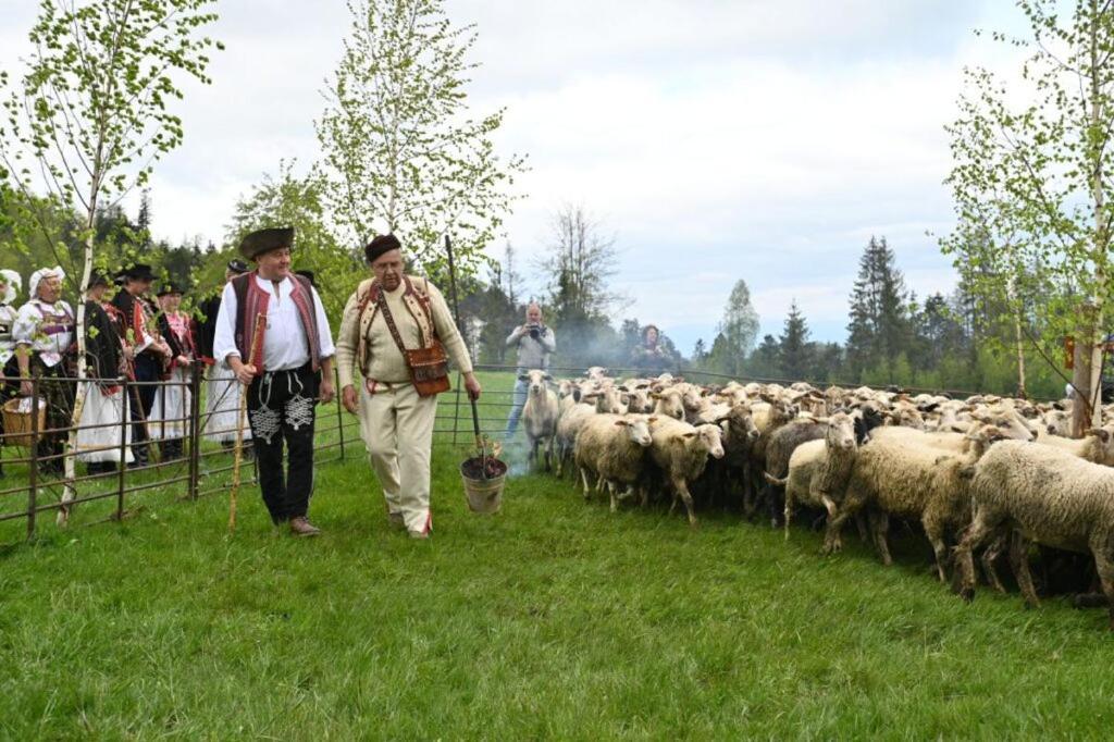 Penzion Zbojnicky Halas Tisovec Exterior foto
